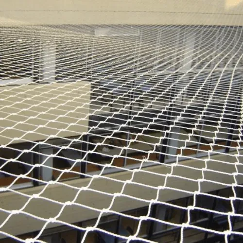 colocarredesantipalomasentalaveradelareina toledo 1920w