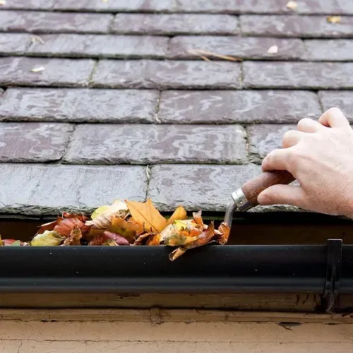 limpiezadecanalonesentalaveradelareina toledo 1920w