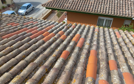 sustitucio ndetejasrotasymovidasentalaveradelareina toledo 456w